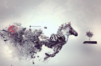 Conundrum in the drum