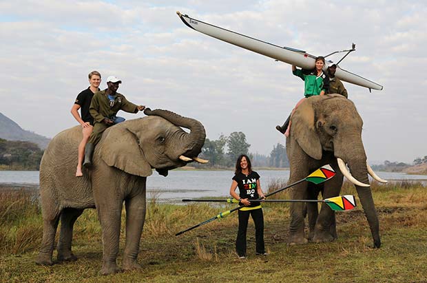 Zim-Rowing-530x800-001-copy