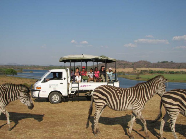 Game viewing drive